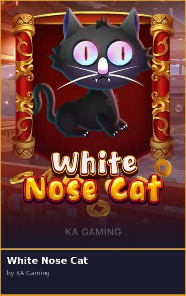 White Nose Cat